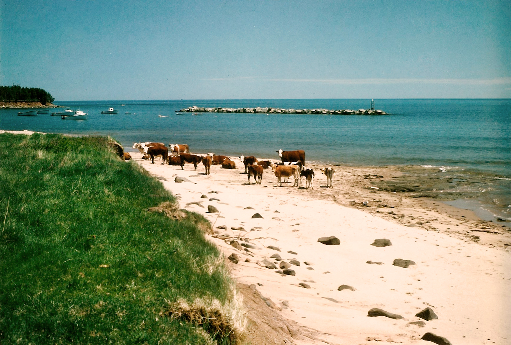 The East End shoreline